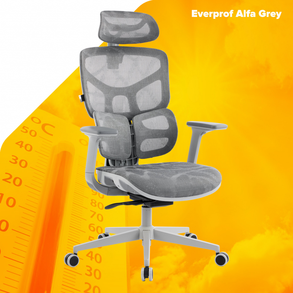 Эргономичное кресло Everprof Alfa Grey Сетка Серый Эргономичное кресло Everprof Alfa Grey Сетка Серый